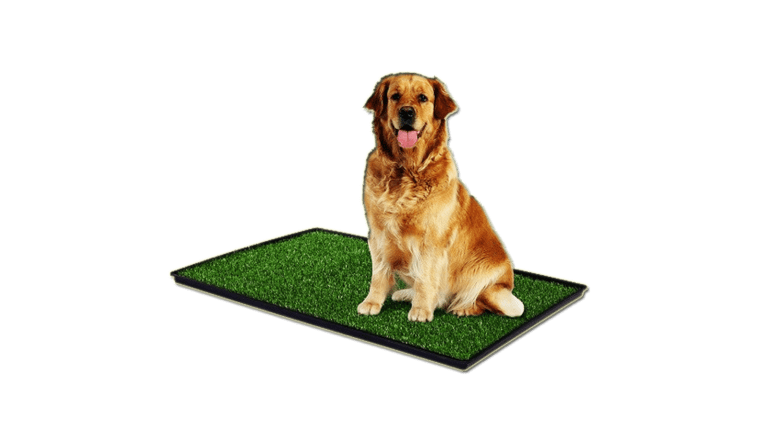 Artificial Grass Dog Mats