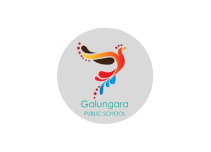 PG-Home-Schools-galungara-public-school