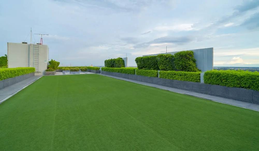Low Maintenance Garden Ideas Australia