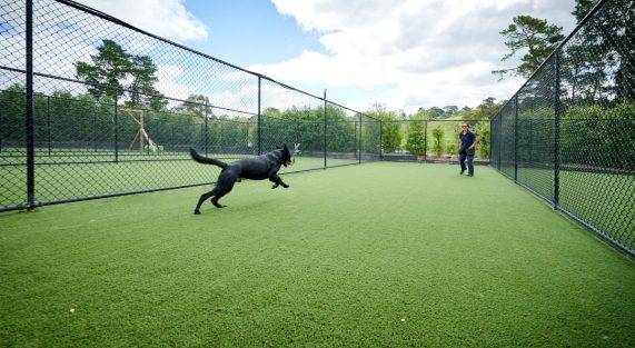 Fake Grass