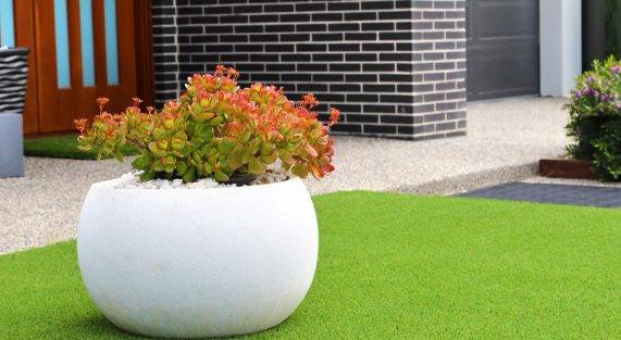 Artificial Grass Lawn