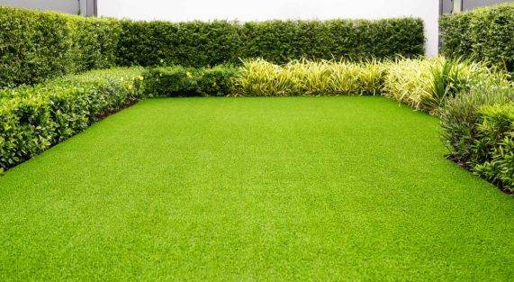 Synthetic Grass