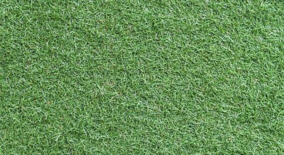 Artificial Turf & Pets
