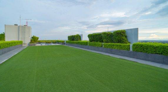 Real Looking Artificial Grass